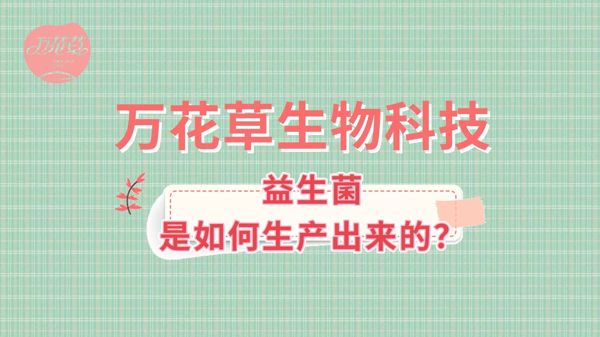 帶您了解益生菌是如何生產出來的,好的廠家哪里找？