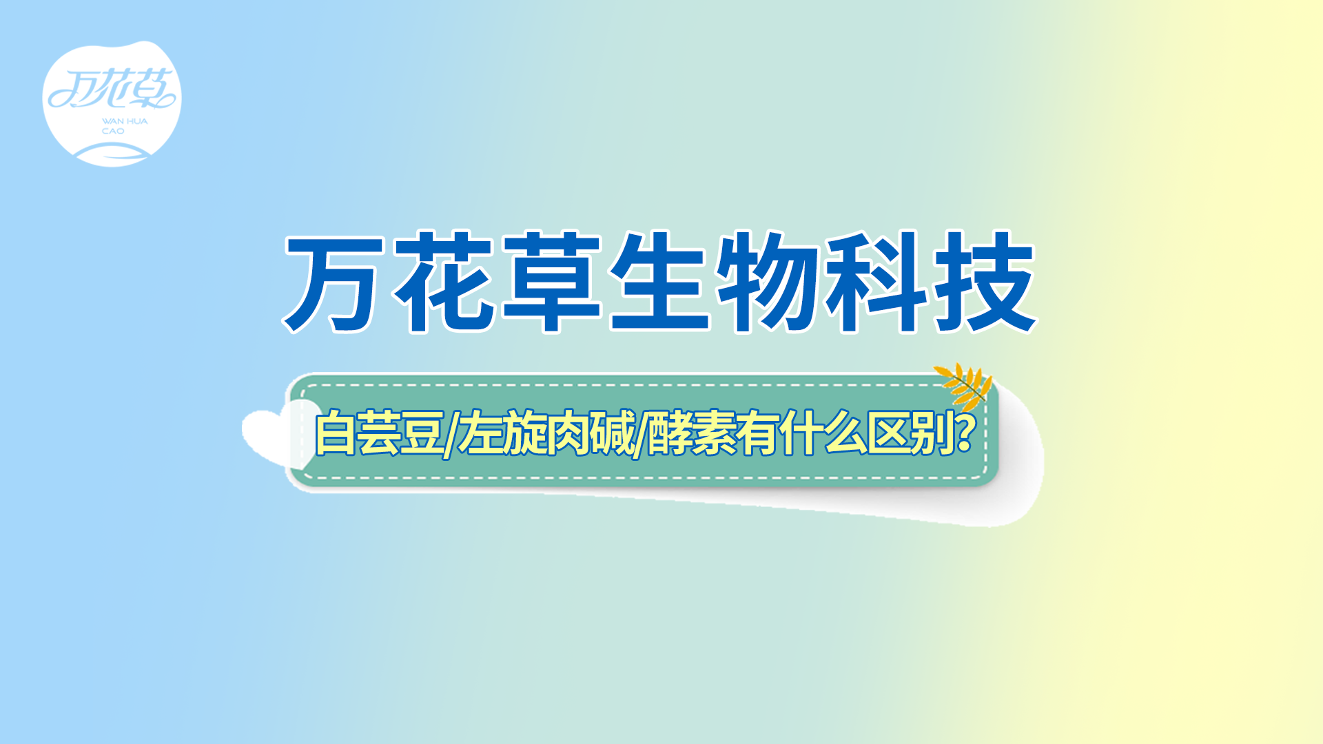 白蕓豆、左旋肉堿、嗨吃酵素有什么區(qū)別？